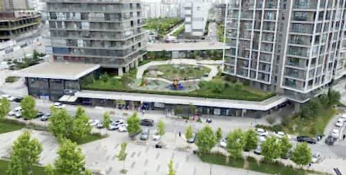 Adım İstanbul | Cem Botanik