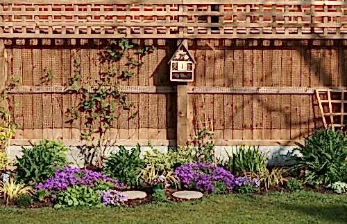 Bahçe Çiti Fikirleri: Doğallık ve Güvenliği Buluşturan 7 Yöntem