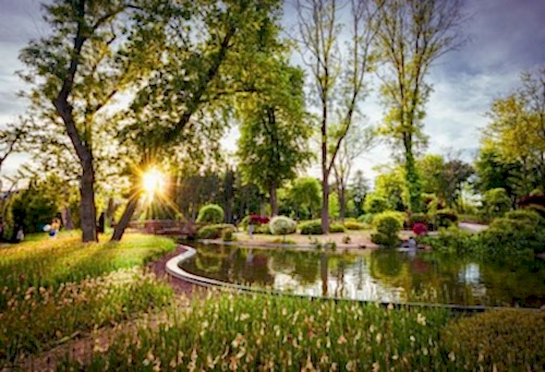 Bahçe Peyzaj Örnekleri: En Güzel Bahçeler İçin Fikirler