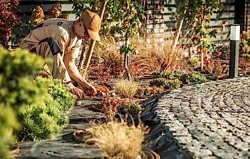 Bahçe Peyzaj Uygulamaları