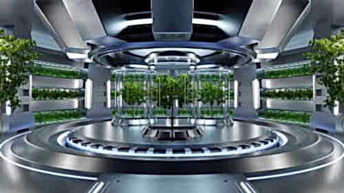 Bitki Hastanesi ve Oteli