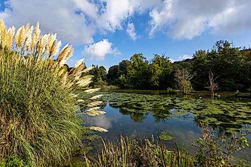 Biyolojik Gölet Uygulaması