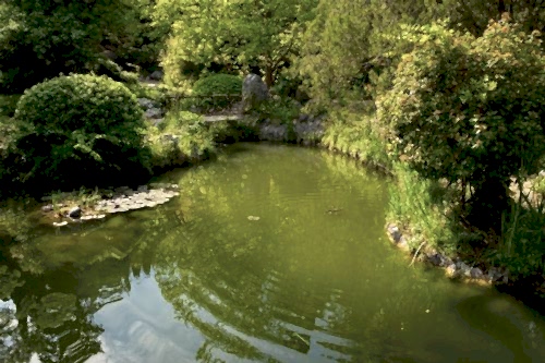 Biyolojik Gölet Uygulaması