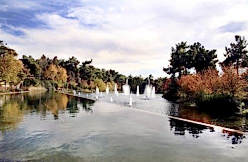 Biyolojik Gölet Uygulaması