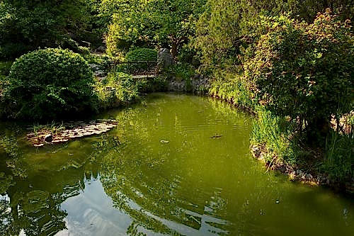 Biyolojik Süs Göleti