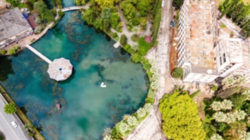 Biological Swimming Pond