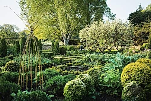 Botanik Nedir? Bitki Biliminin Doğadaki Önemi ve Kullanım Alanları