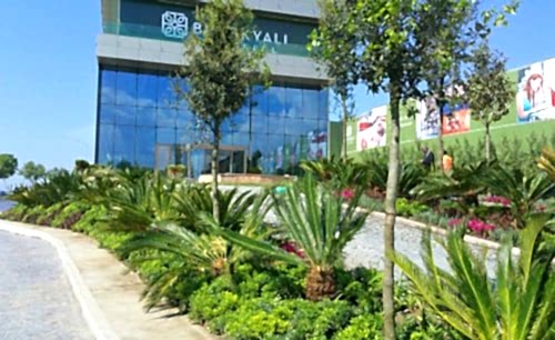 Büyükyalı İstanbul | Cem Botanik