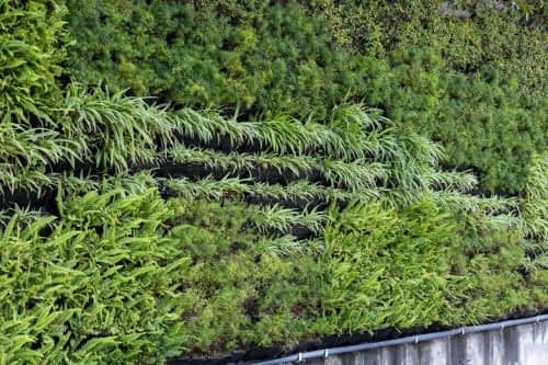 Dikey Bahçe ve Bitkilendirme Sistemleri