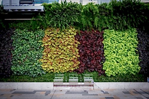 Dikey Bahçe ve Bitkilendirme Sistemleri