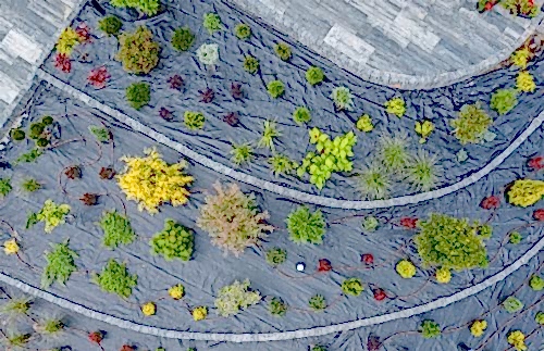 Geoweb | Cem Botanik