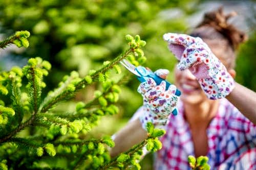 İlkbahar Bahçe Bakımı