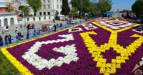 İstanbul’un Doğal Güzellikleri Nelerdir? Keşfetmeniz Gereken Yerler