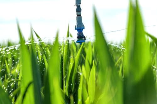 Otomatik Sulama Sistemleri