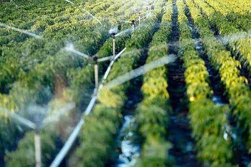 Otomatik Sulama Sistemleri