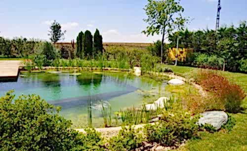 Özel Villa Bahçesi 3