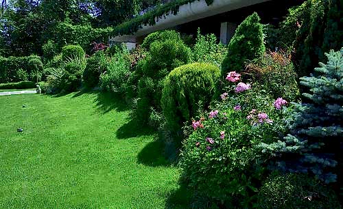 Özel Villa Bahçesi 6