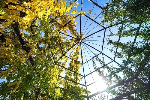 Pergola Sistemleri: Modern Modeller ve Pergola Özellikleri