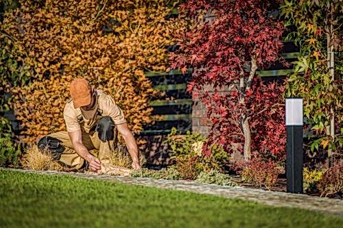 Sonbahar Bahçe Bakımı