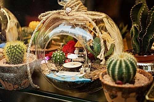 Teraryum Nedir? Teraryum Yapımı