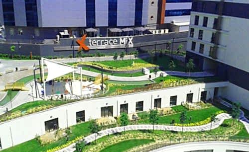 Terrace Mix | Cem Botanik