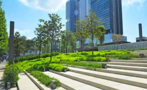 Torun Center | Cem Botanik