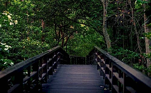 Travers Uygulamaları: Doğal, Ahşap ve Estetik Peyzaj Çözümleri