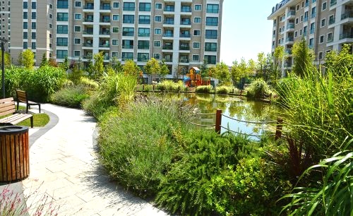 Trendist | Cem Botanik