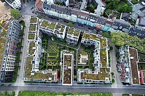 Yeşil Çatı Sistemleri