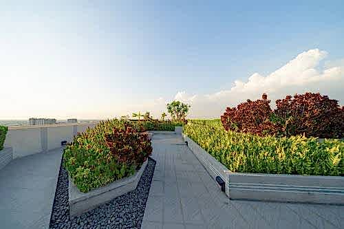 Yeşil Çatı Sistemleri